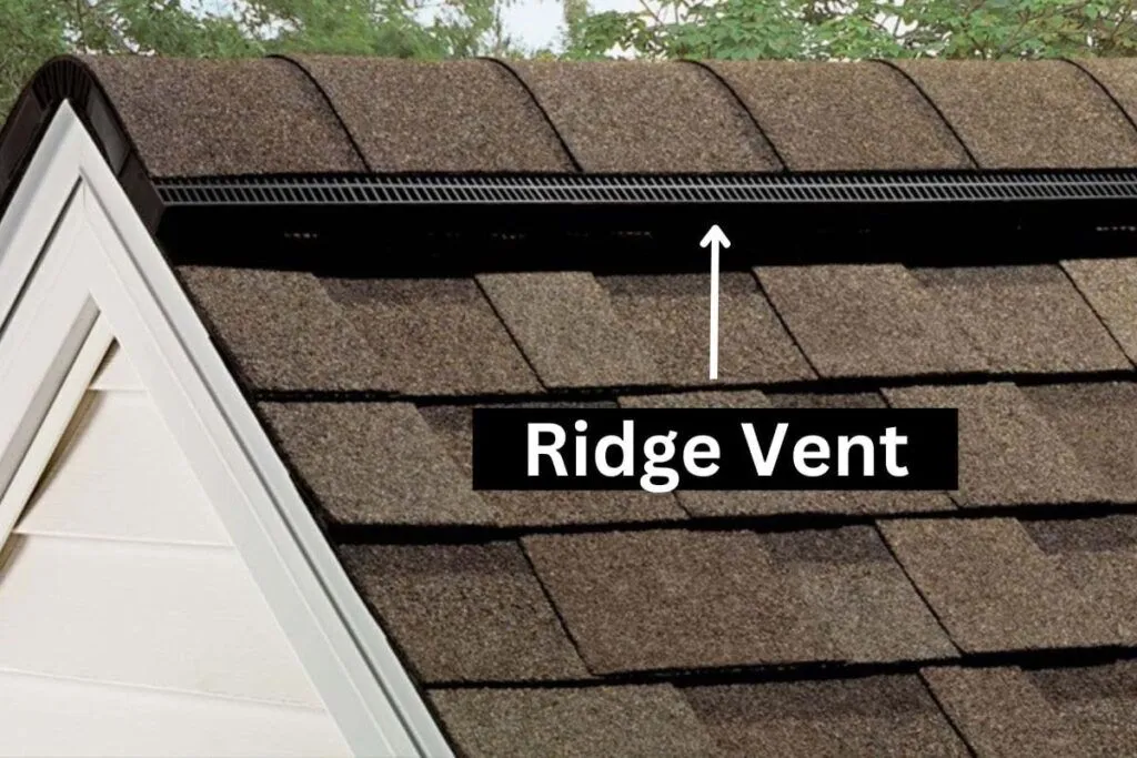 Ridge Vents Vs. Box Vents: A Comprehensive Comparison