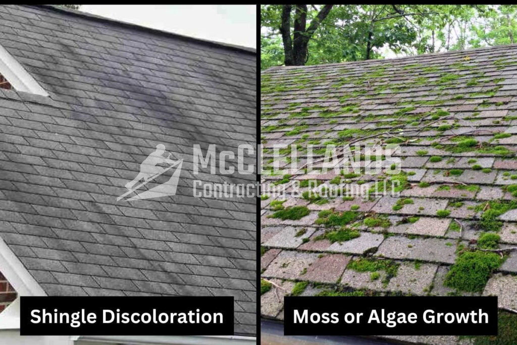 Signs Your Roof Needs To Be Cleaned