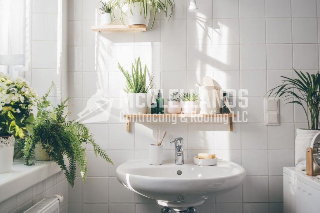 Indoor Potted Plants and Hanging Vines