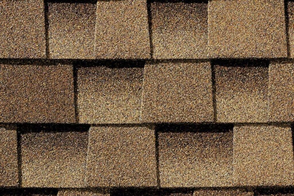 Shakewood Shingle