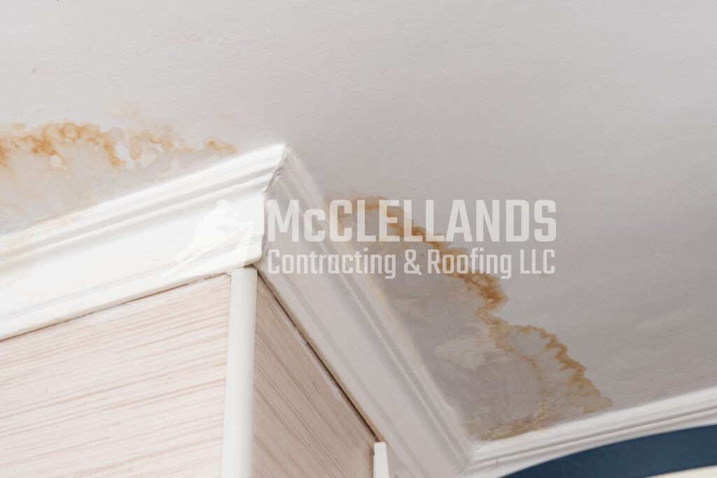 Leaks And Moisture Damage