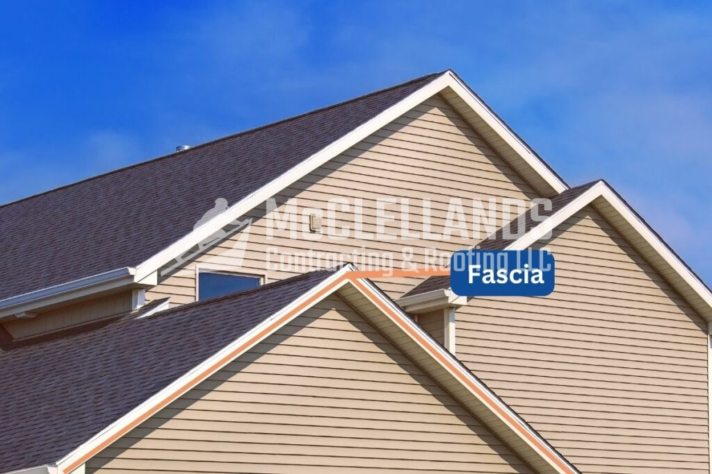 What Is Fascia