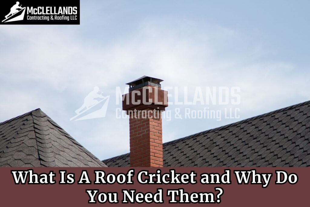 Roof Cricket