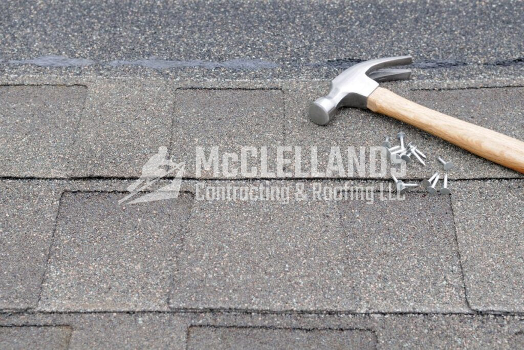 Roofing Nail