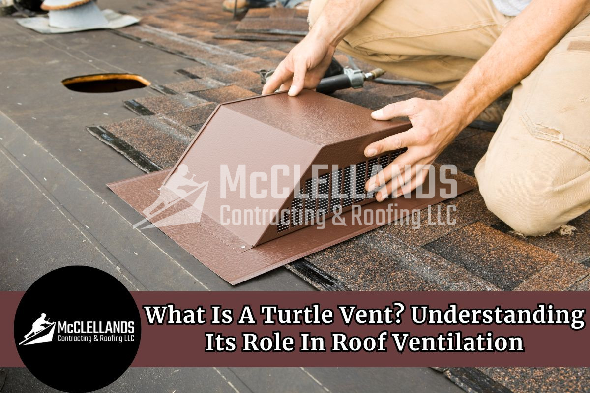 What Is A Turtle Vent? Understanding Its Role In Roof Ventilation