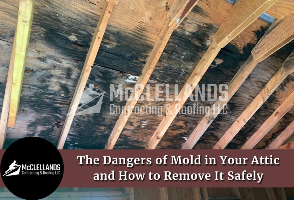 Mold In The Attic